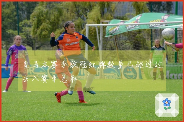 皇马本赛季欧冠红牌数量已超过过去八赛季总和